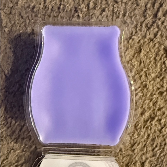 Gilmore Girls Dragonfly Inn Scentsy Bar - Picture 2 of 2